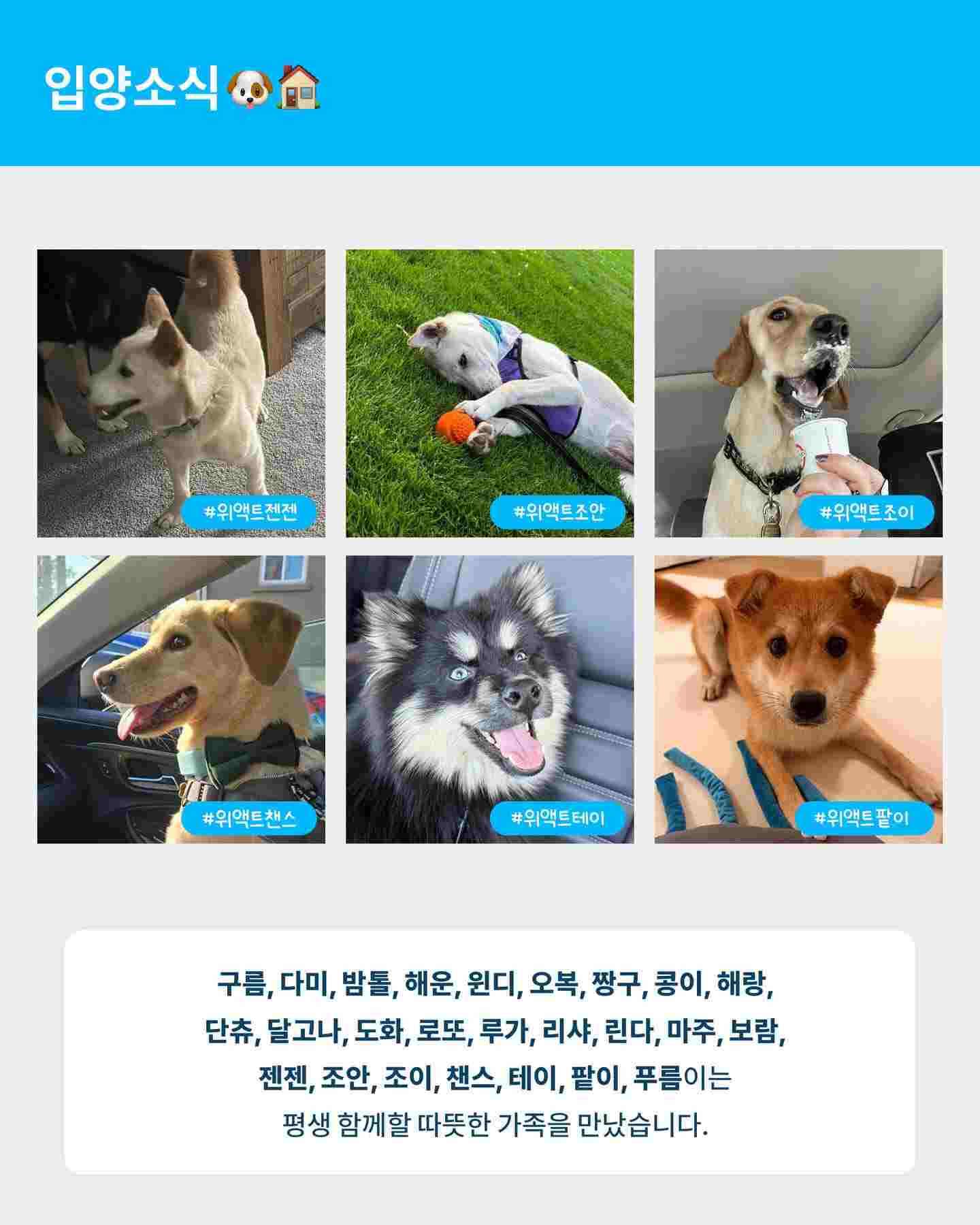 상세 사진 5