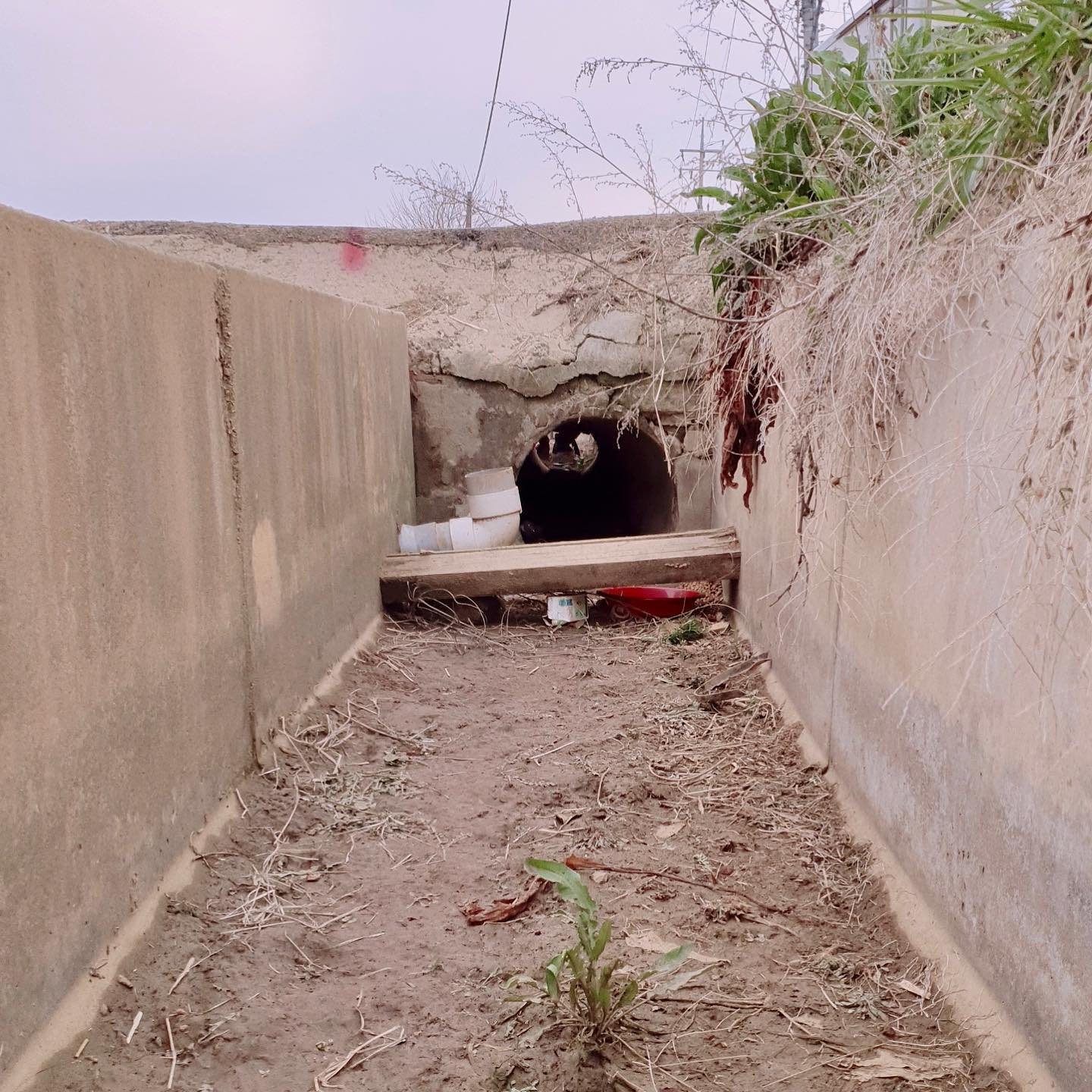 상세 사진 2