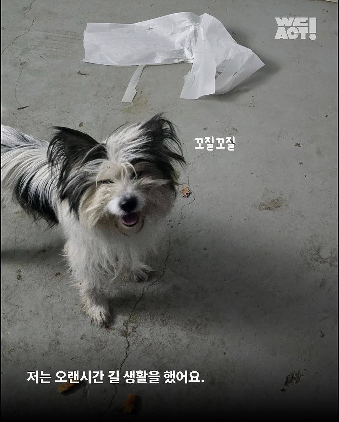 상세 사진 4