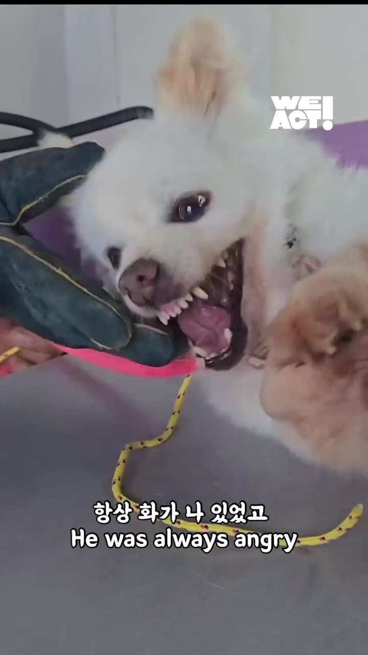상세 사진 2