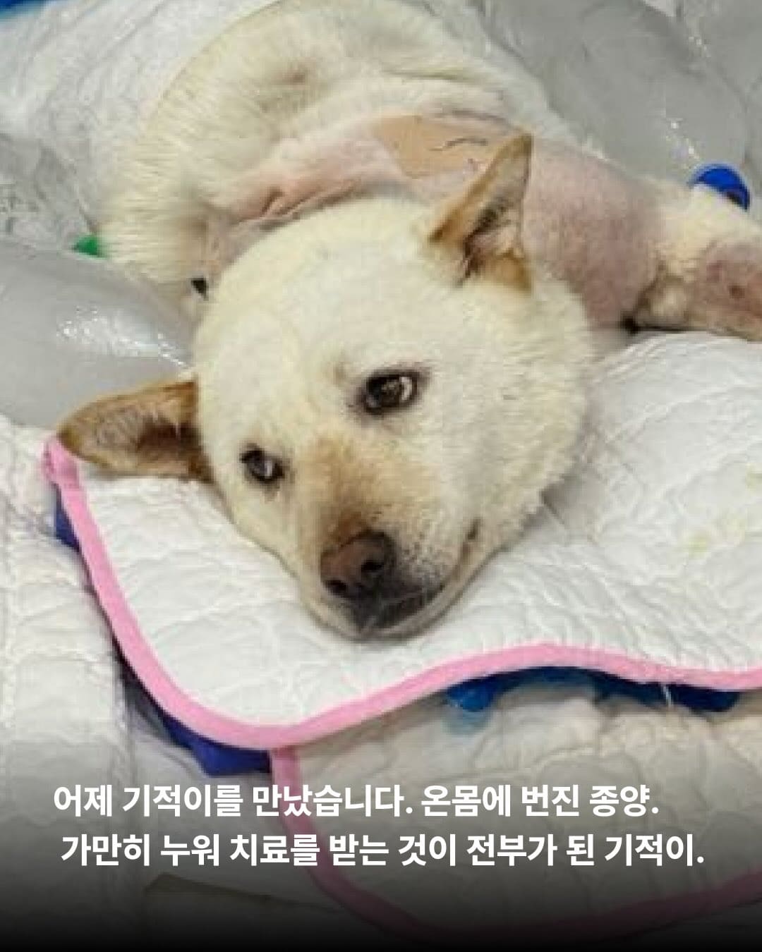 상세 사진 4