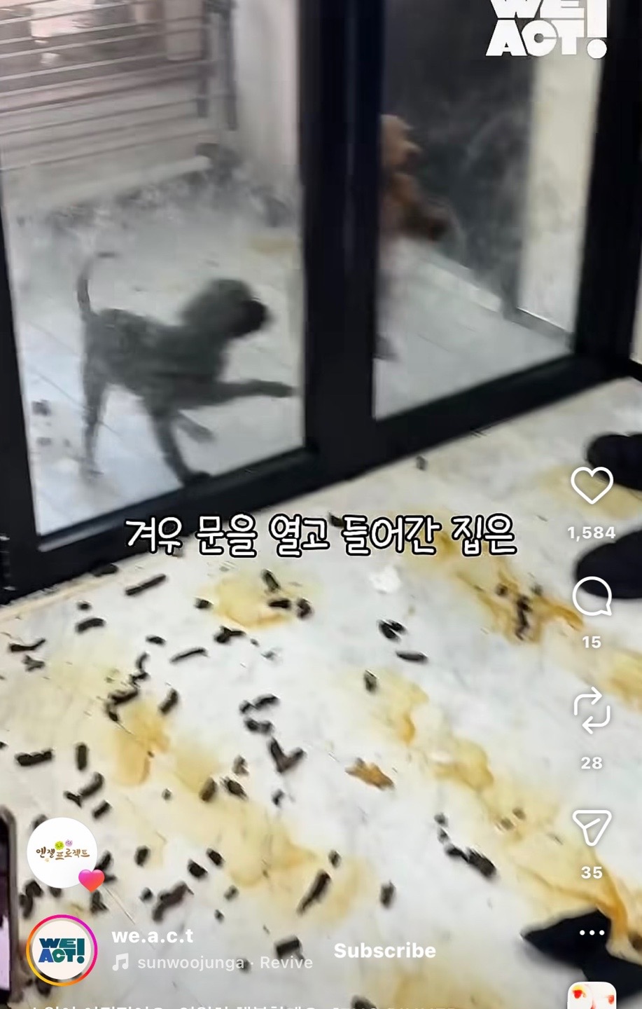 상세 사진 1