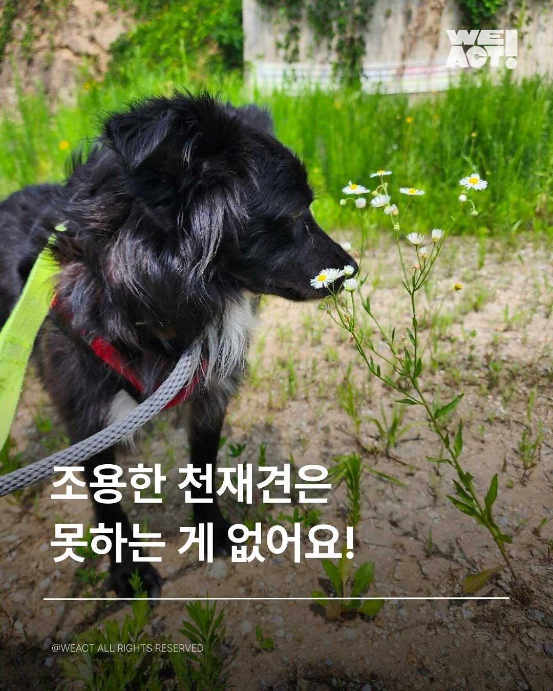 상세 사진 1