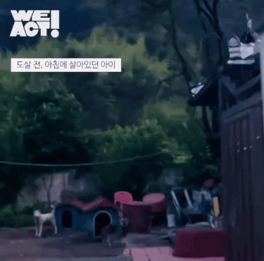 상세 사진 4