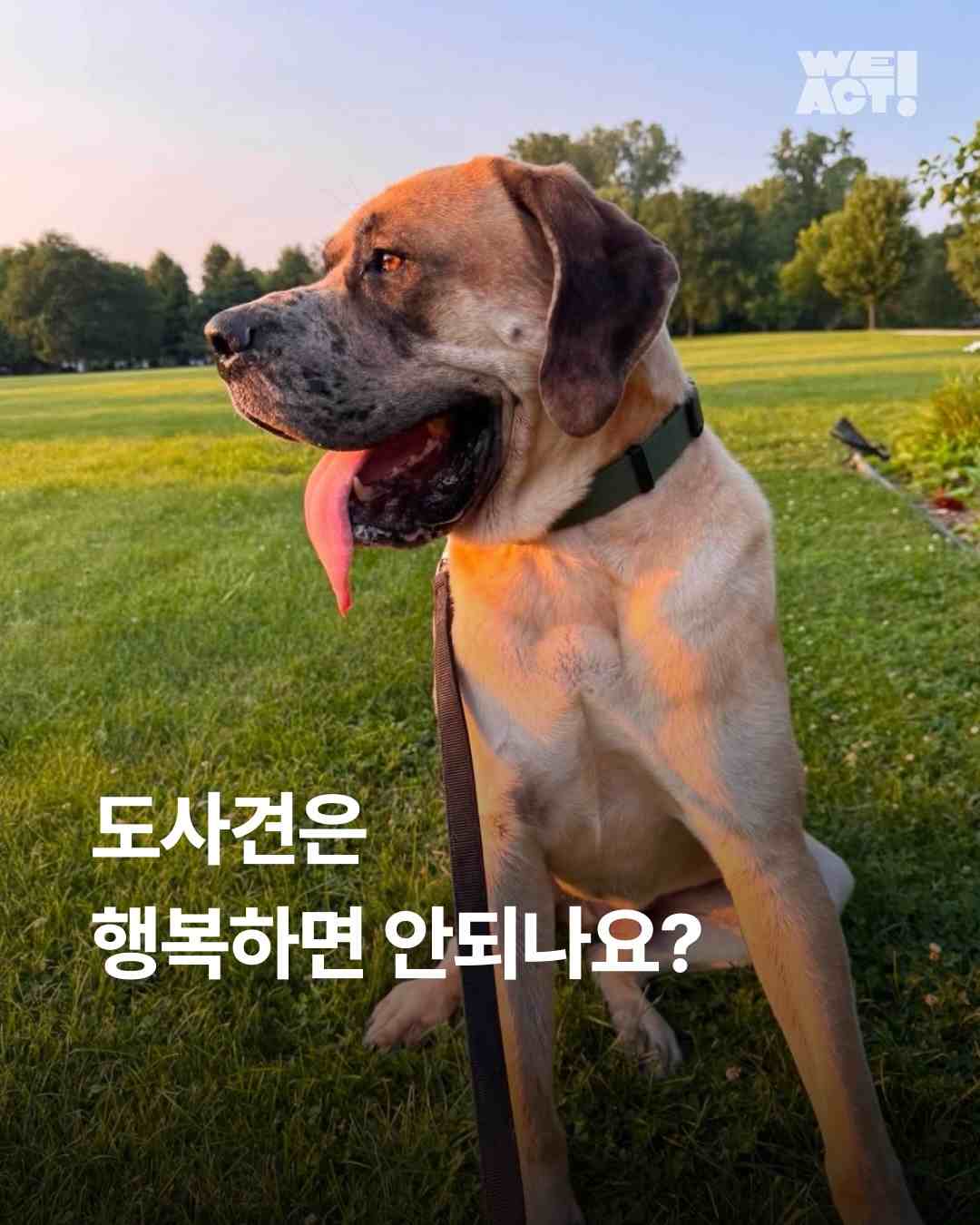 상세 사진 1