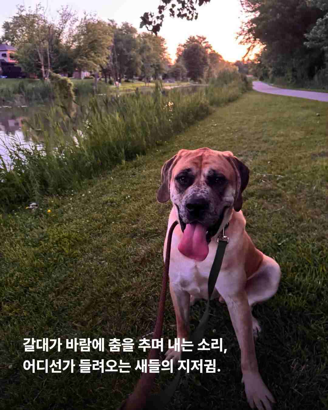 상세 사진 10