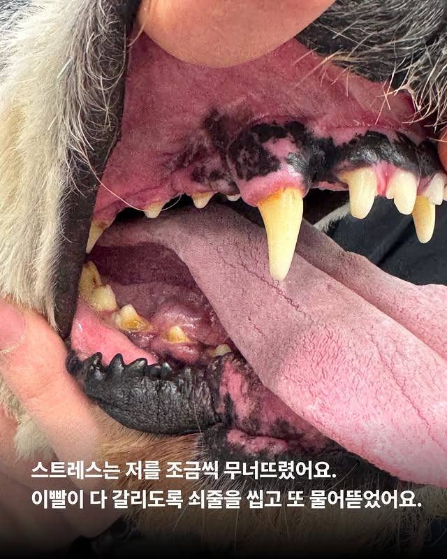 상세 사진 5