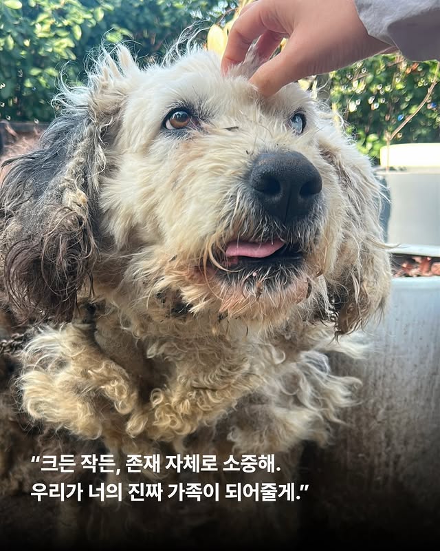 상세 사진 8