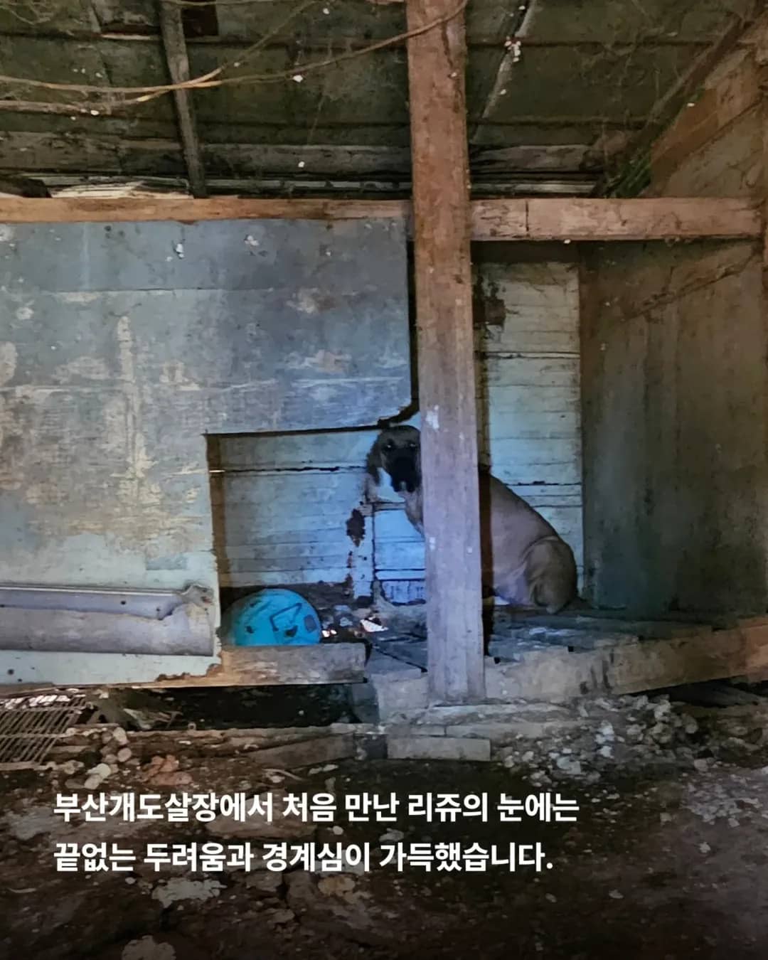상세 사진 2