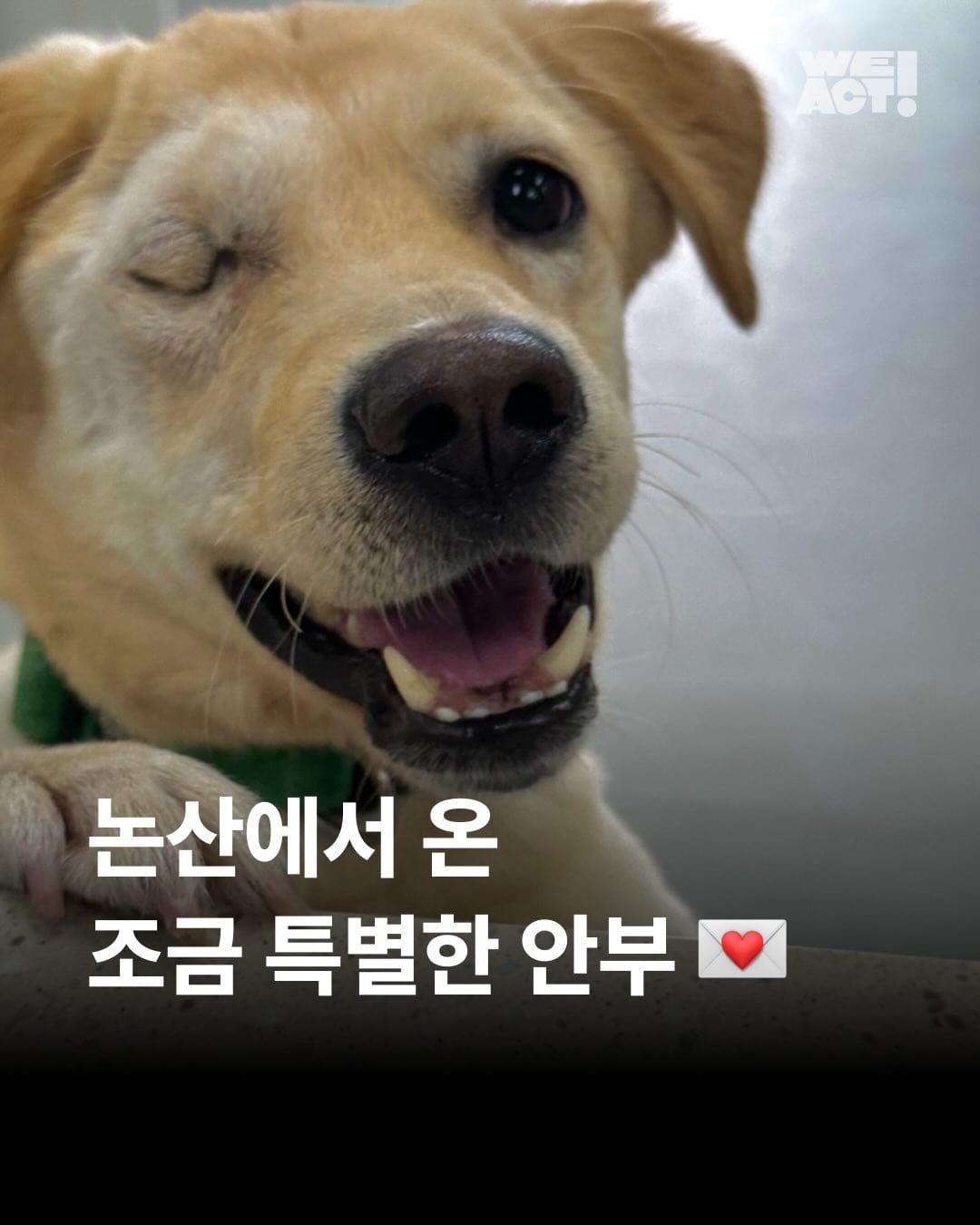 상세 사진 1