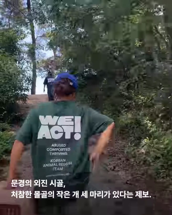 상세 사진 2