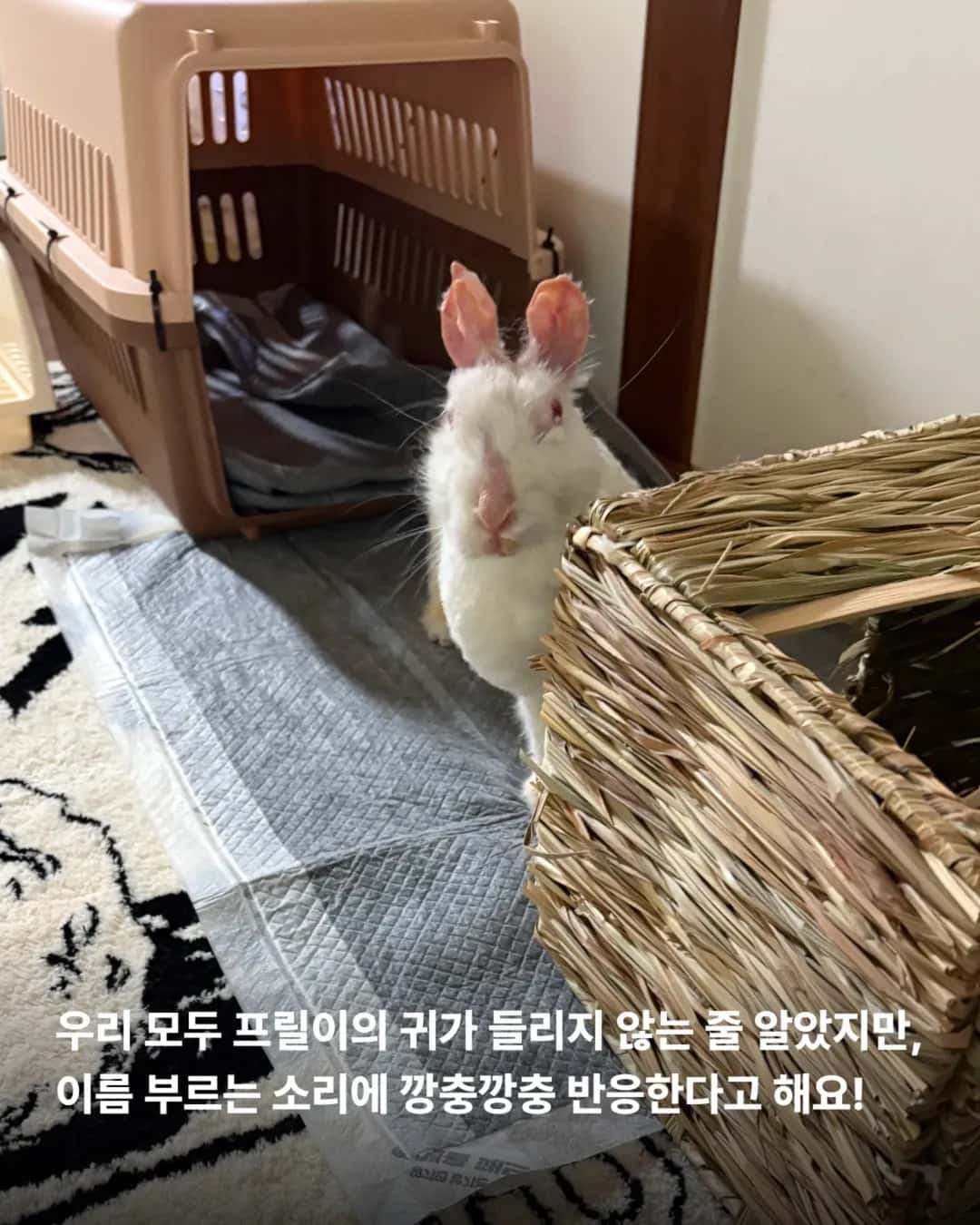 상세 사진 7