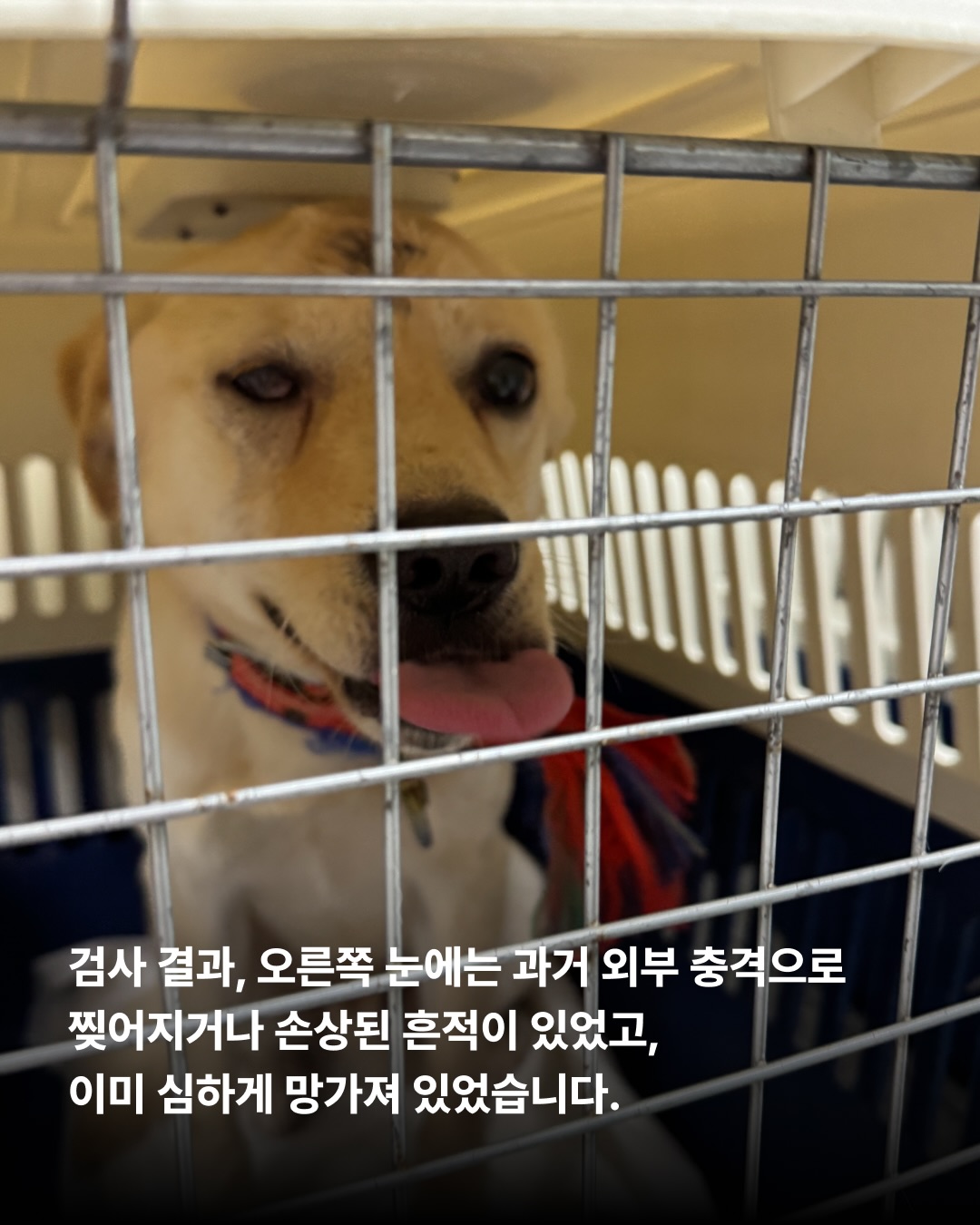 상세 사진 4
