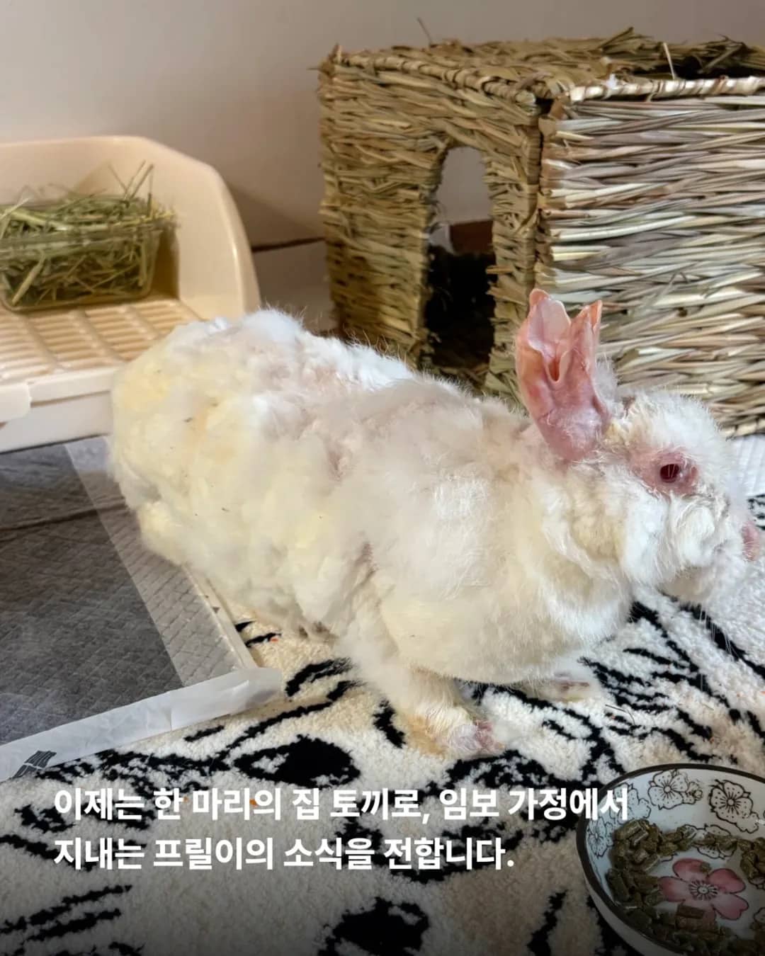 상세 사진 5