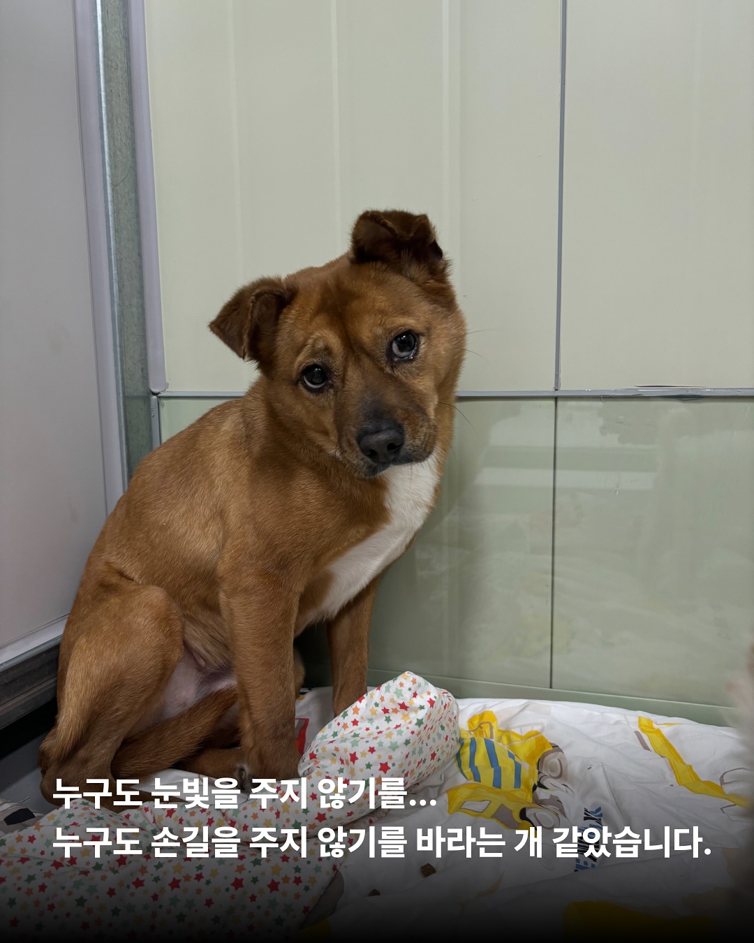 상세 사진 5