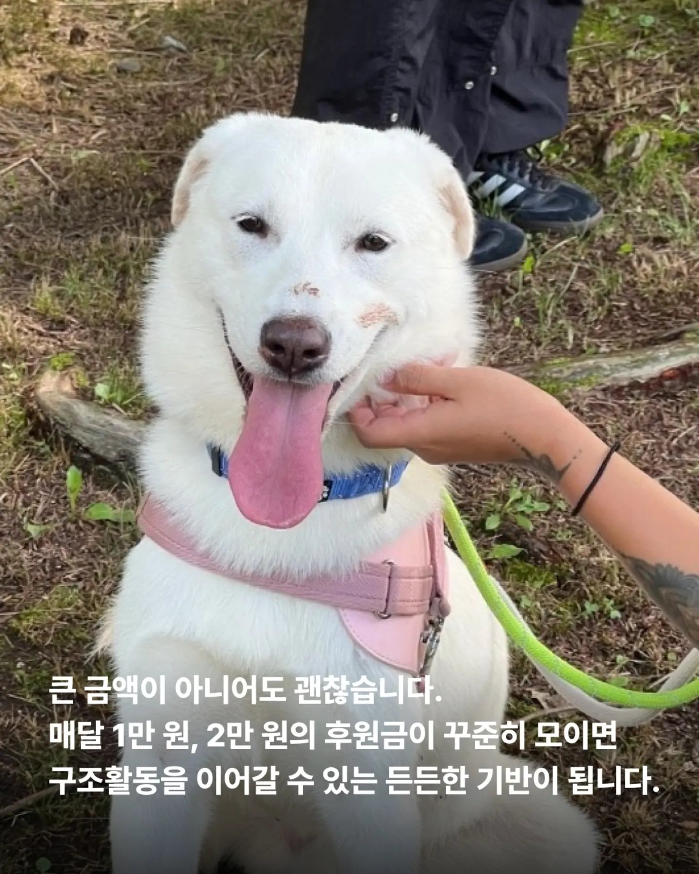 상세 사진 5