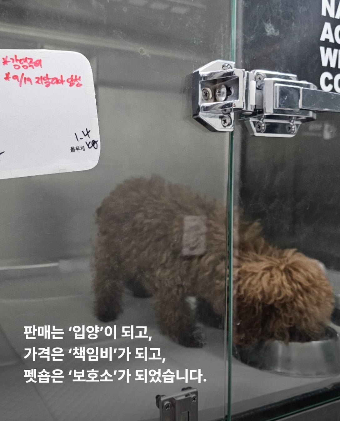 상세 사진 9