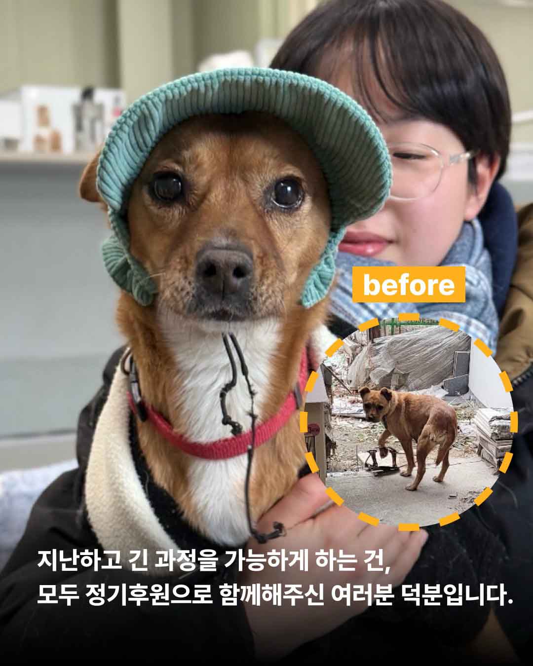 상세 사진 13