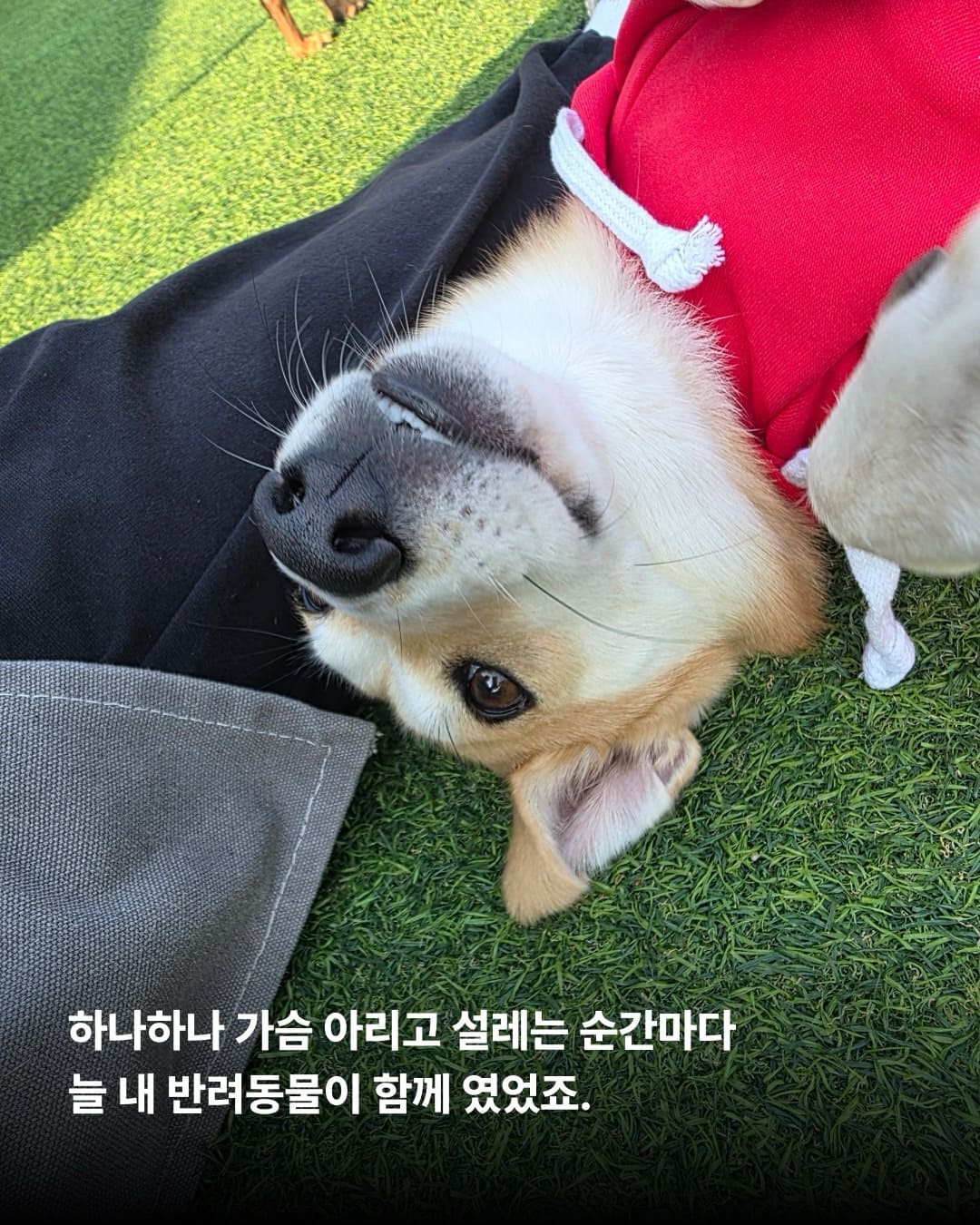 상세 사진 7