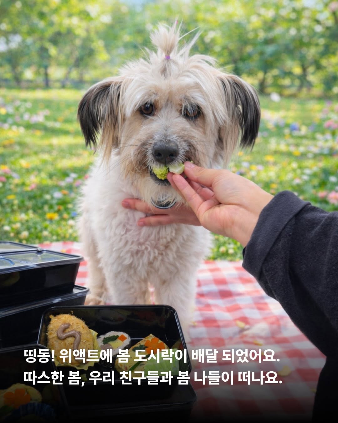 상세 사진 2