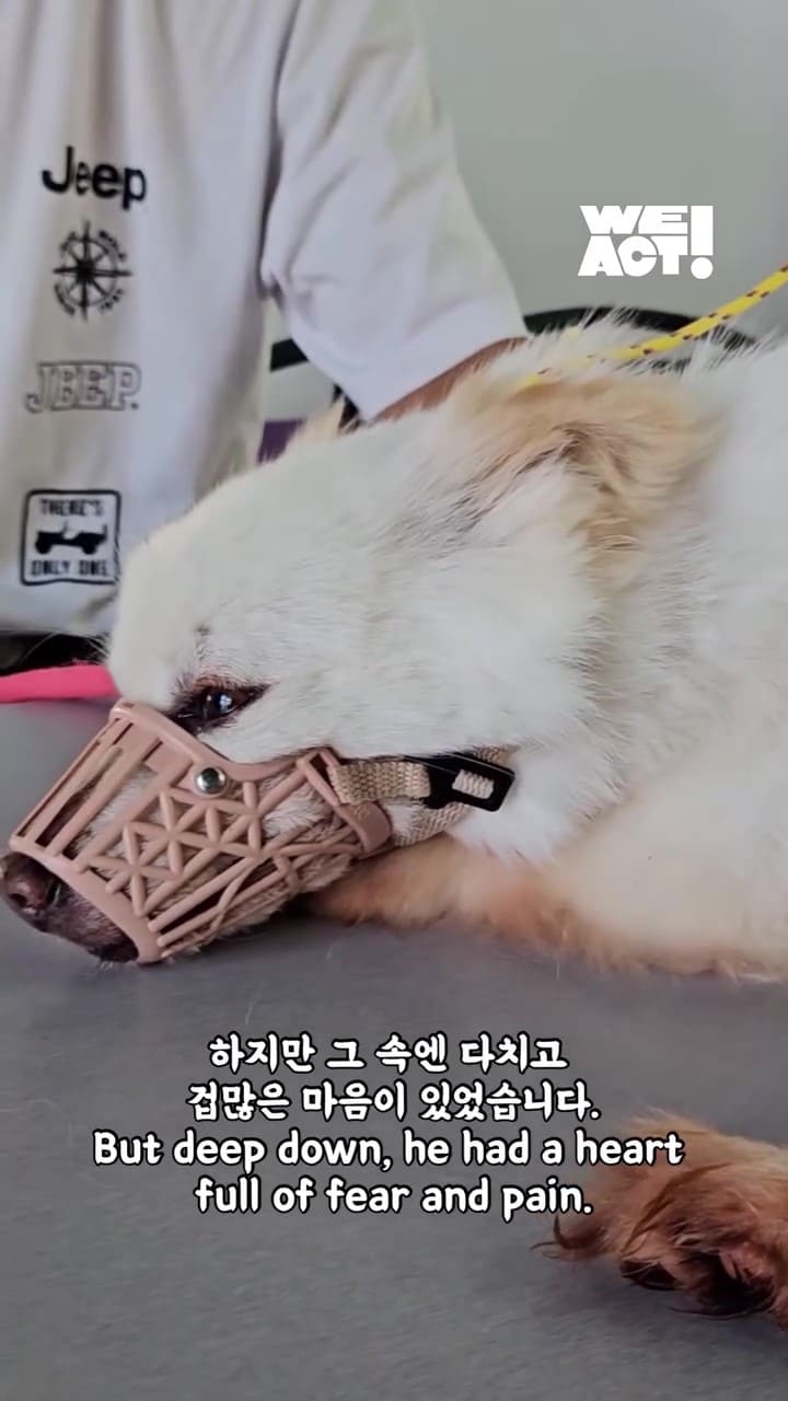 상세 사진 4
