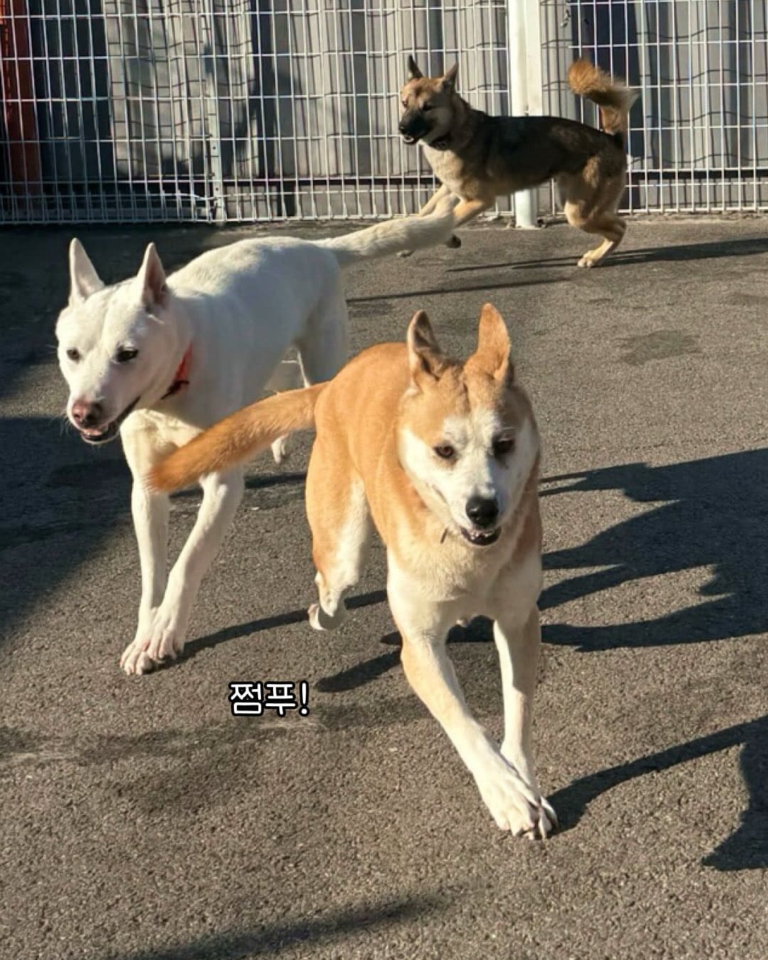 상세 사진 5