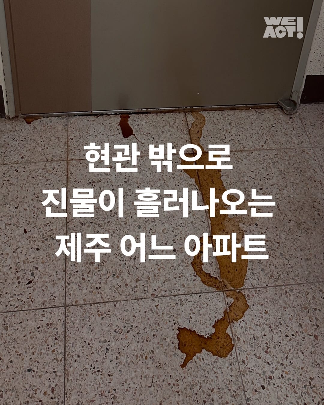 상세 사진 1
