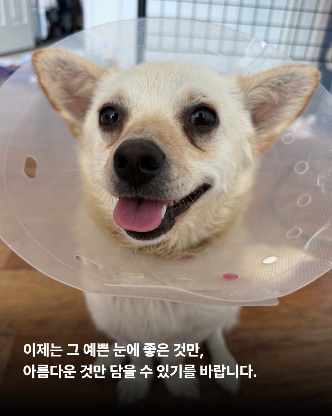 상세 사진 12