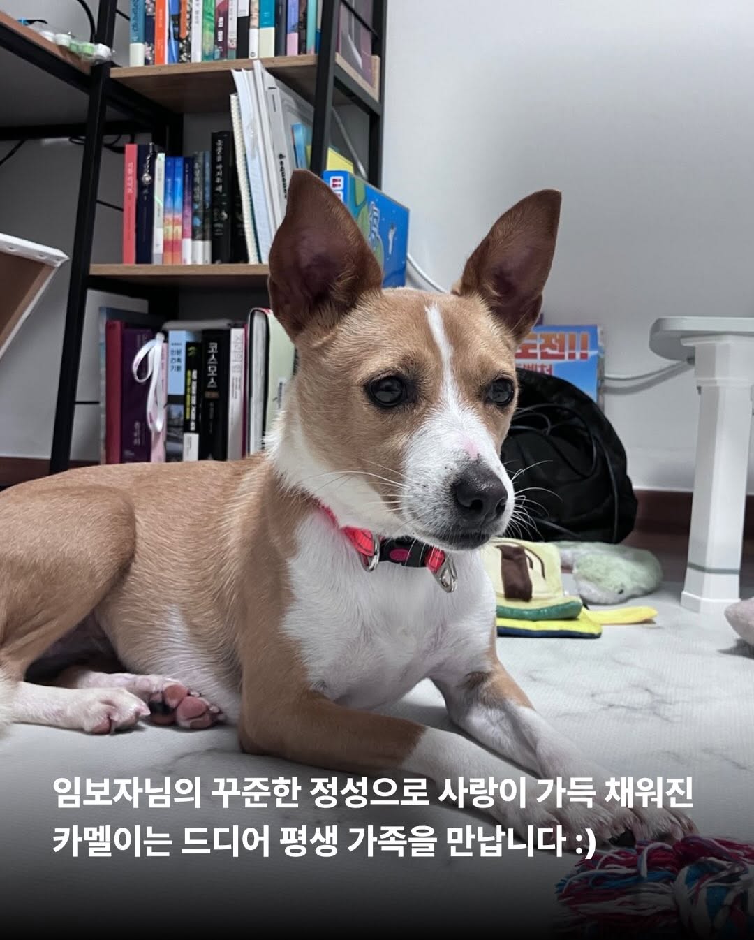 상세 사진 4