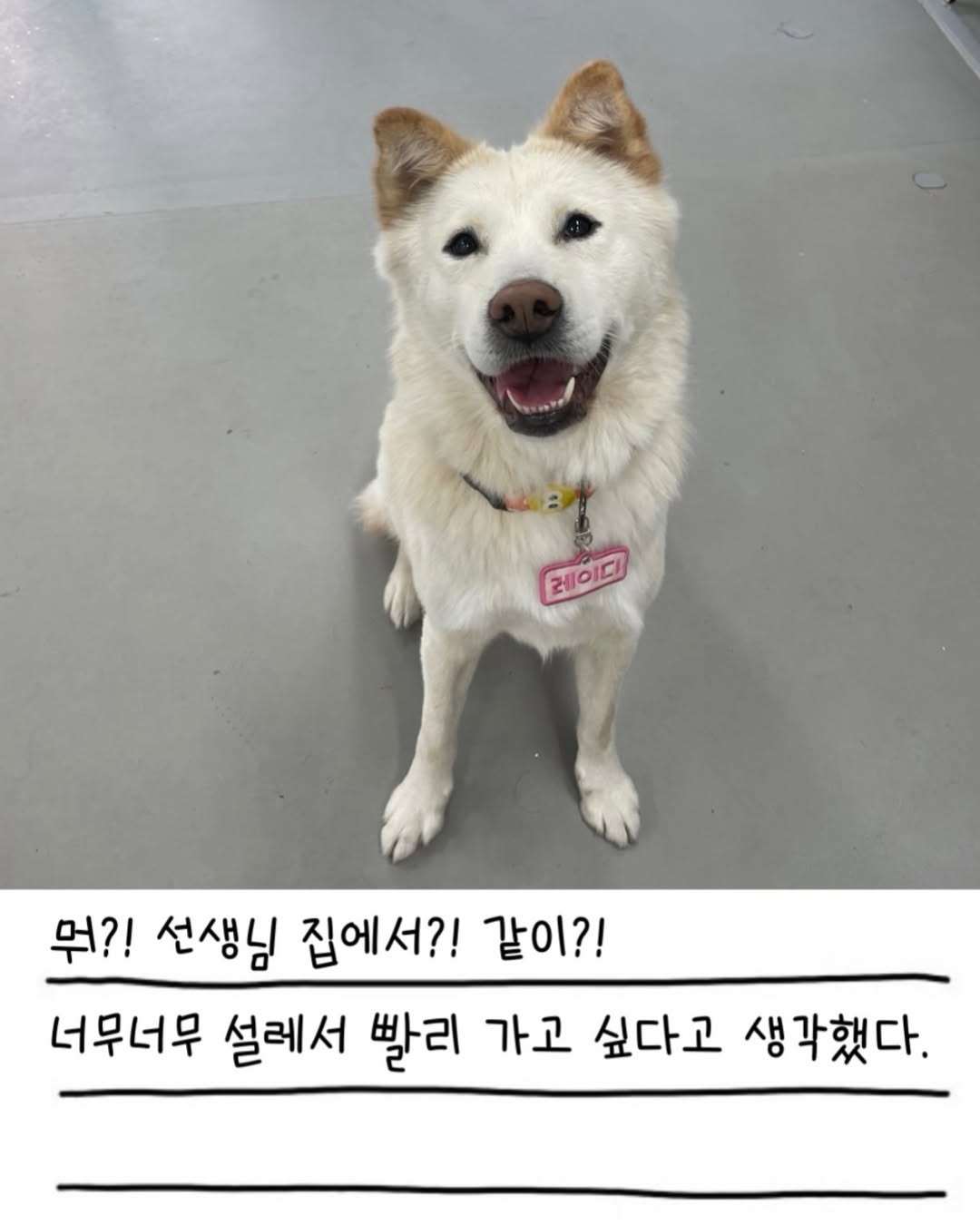 상세 사진 3