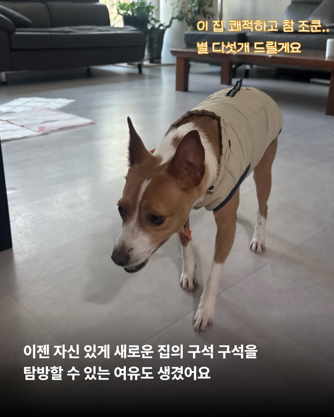 상세 사진 11