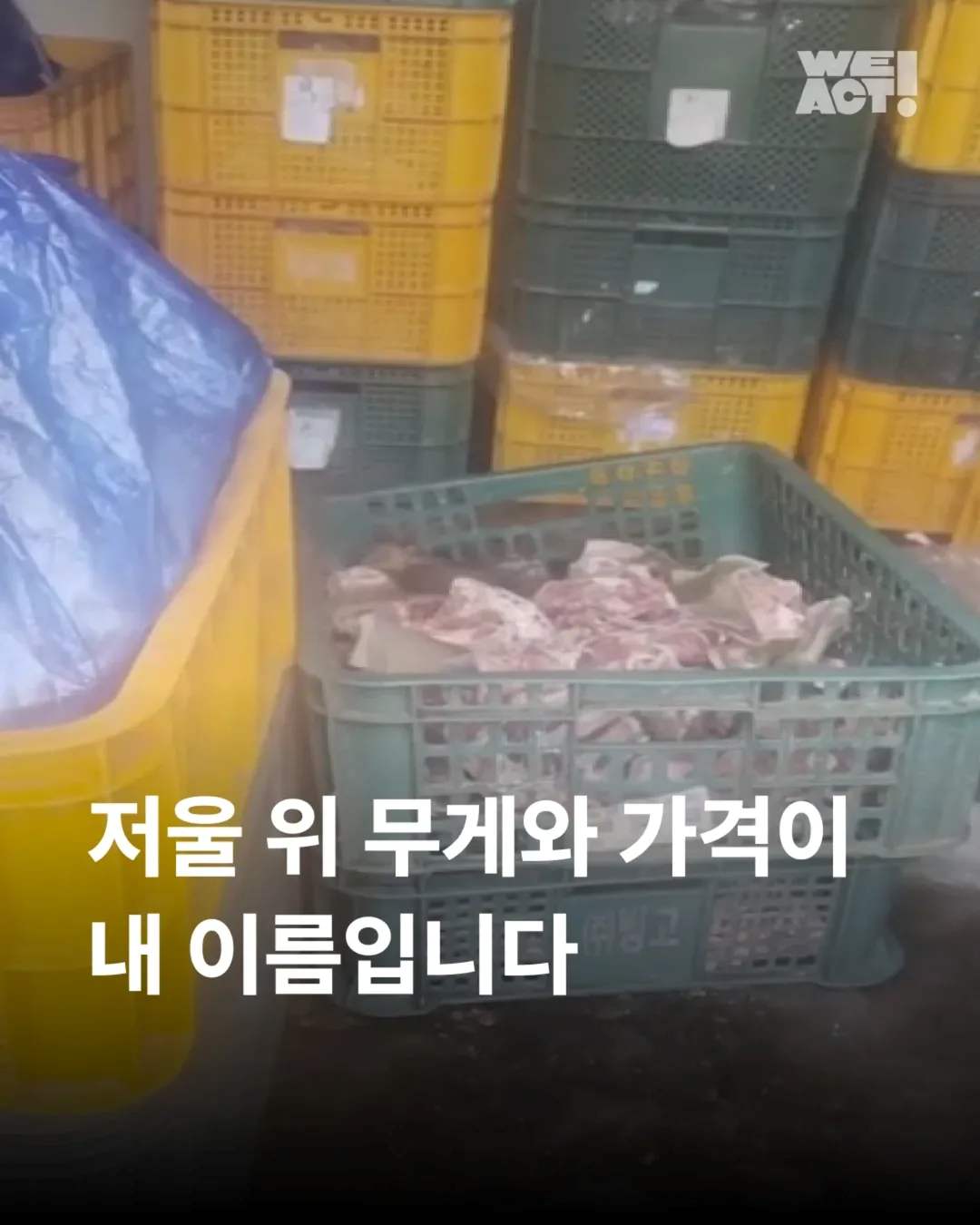 상세 사진 1