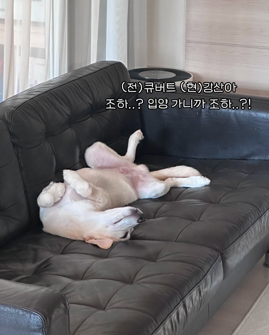 상세 사진 8