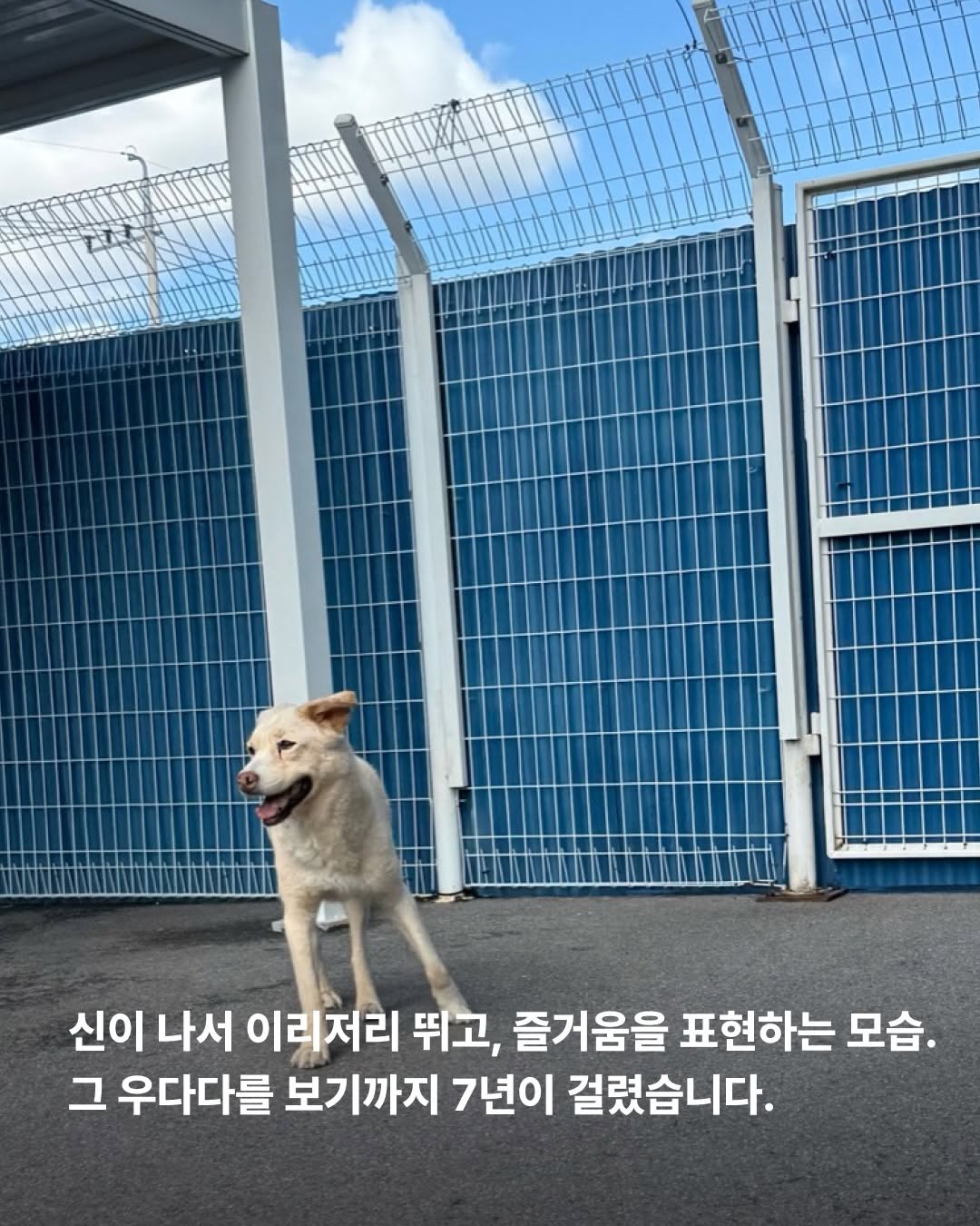 상세 사진 6
