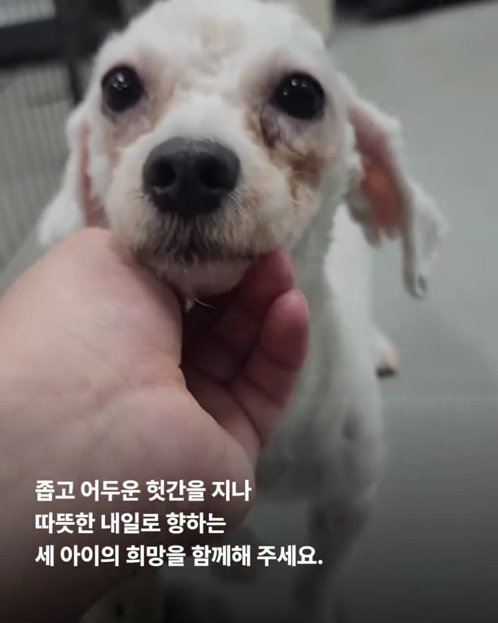 상세 사진 9