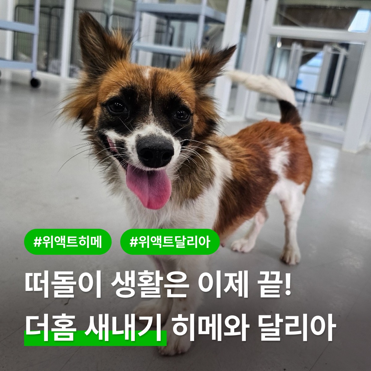 상세 사진 1