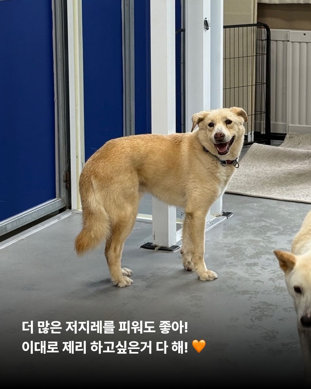 상세 사진 9