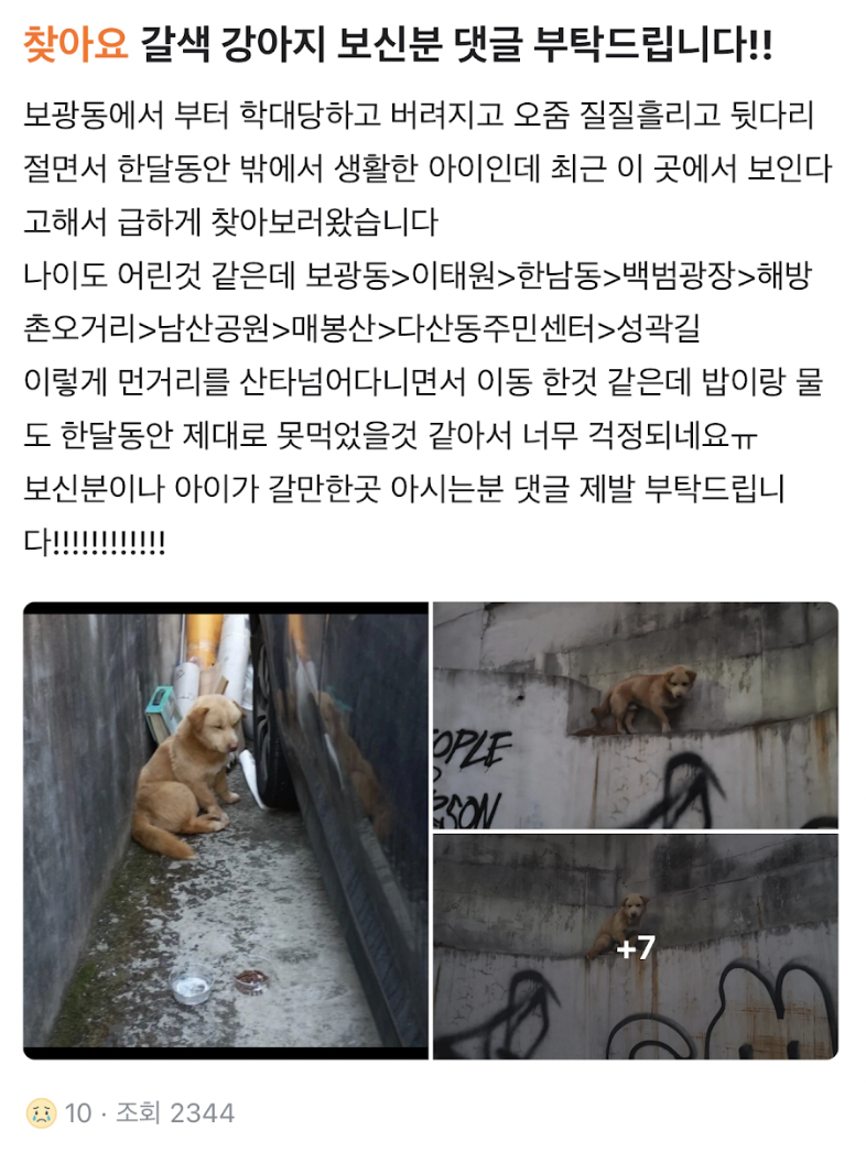 상세 사진 2