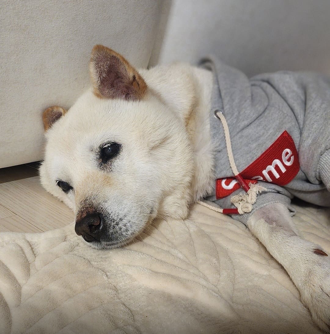 상세 사진 7