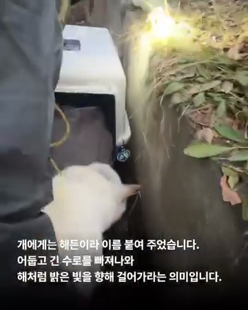 상세 사진 8