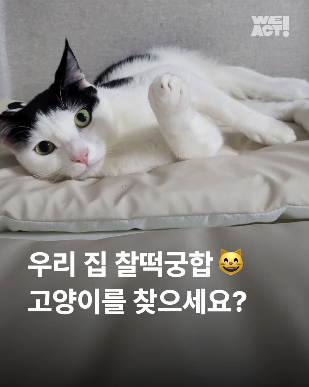 상세 사진 1