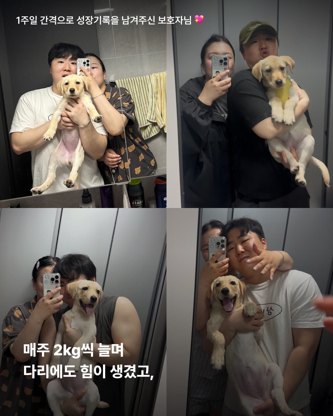 상세 사진 11