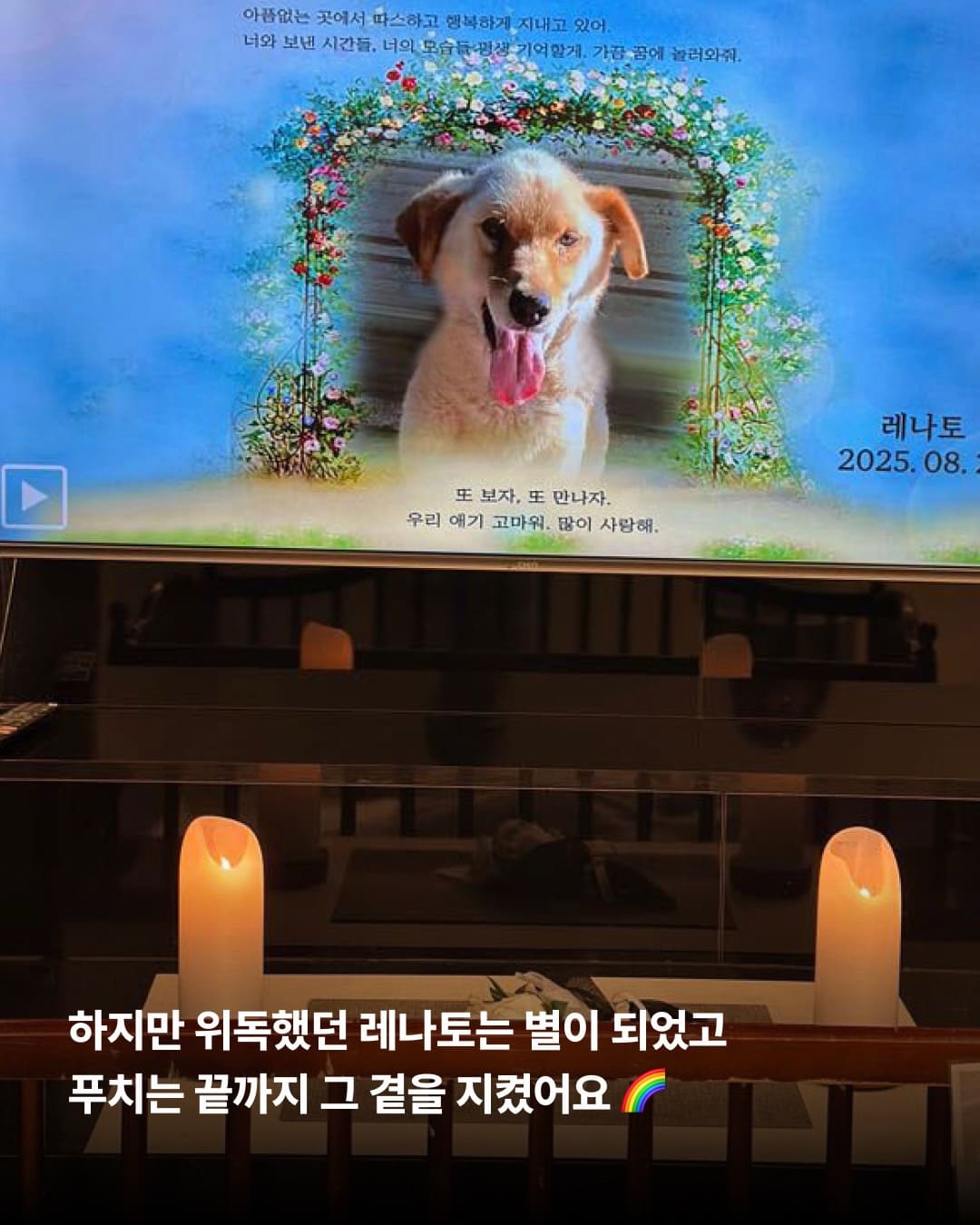 상세 사진 3