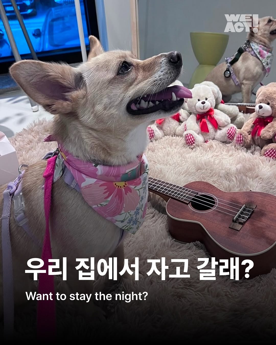 상세 사진 1