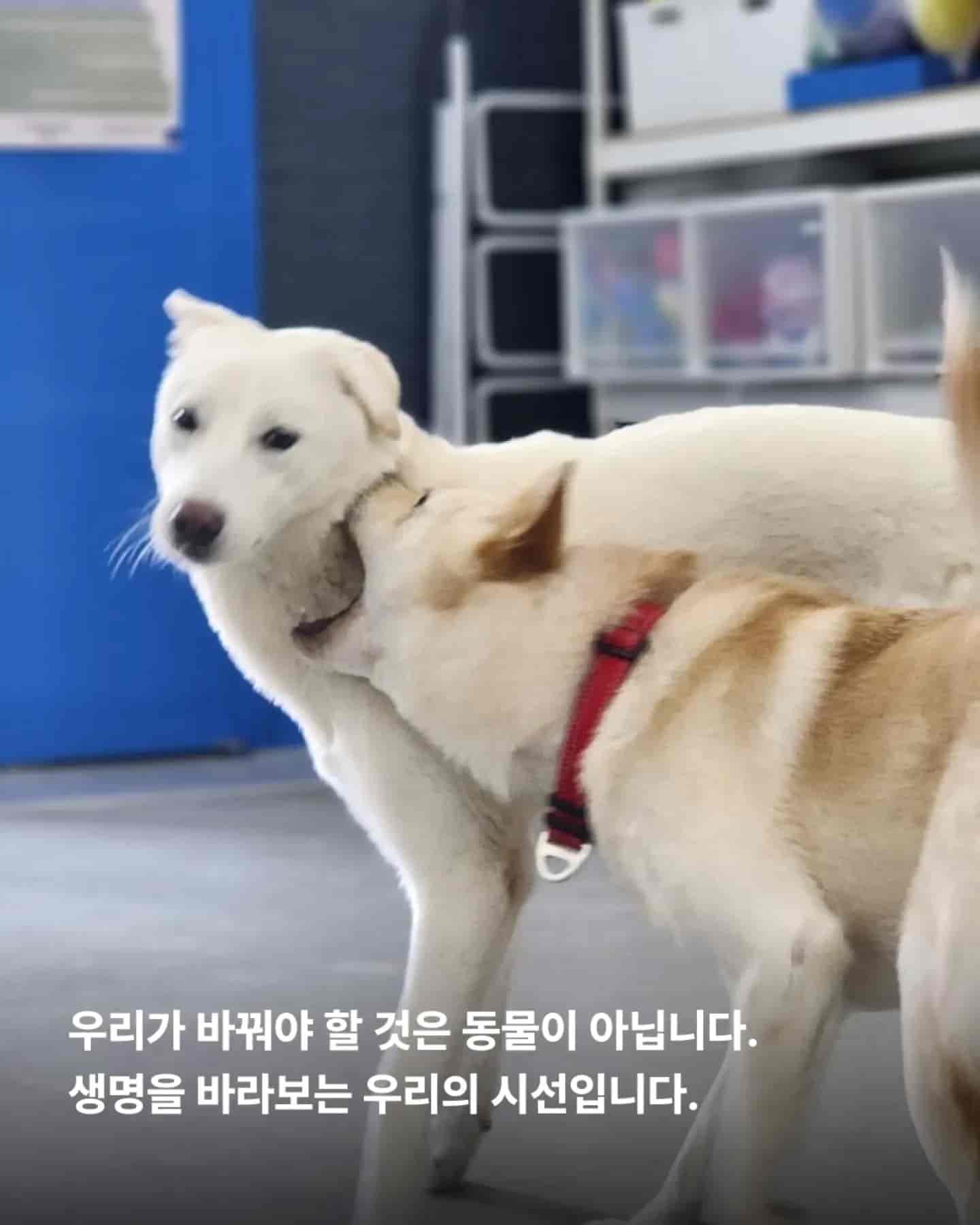 상세 사진 16
