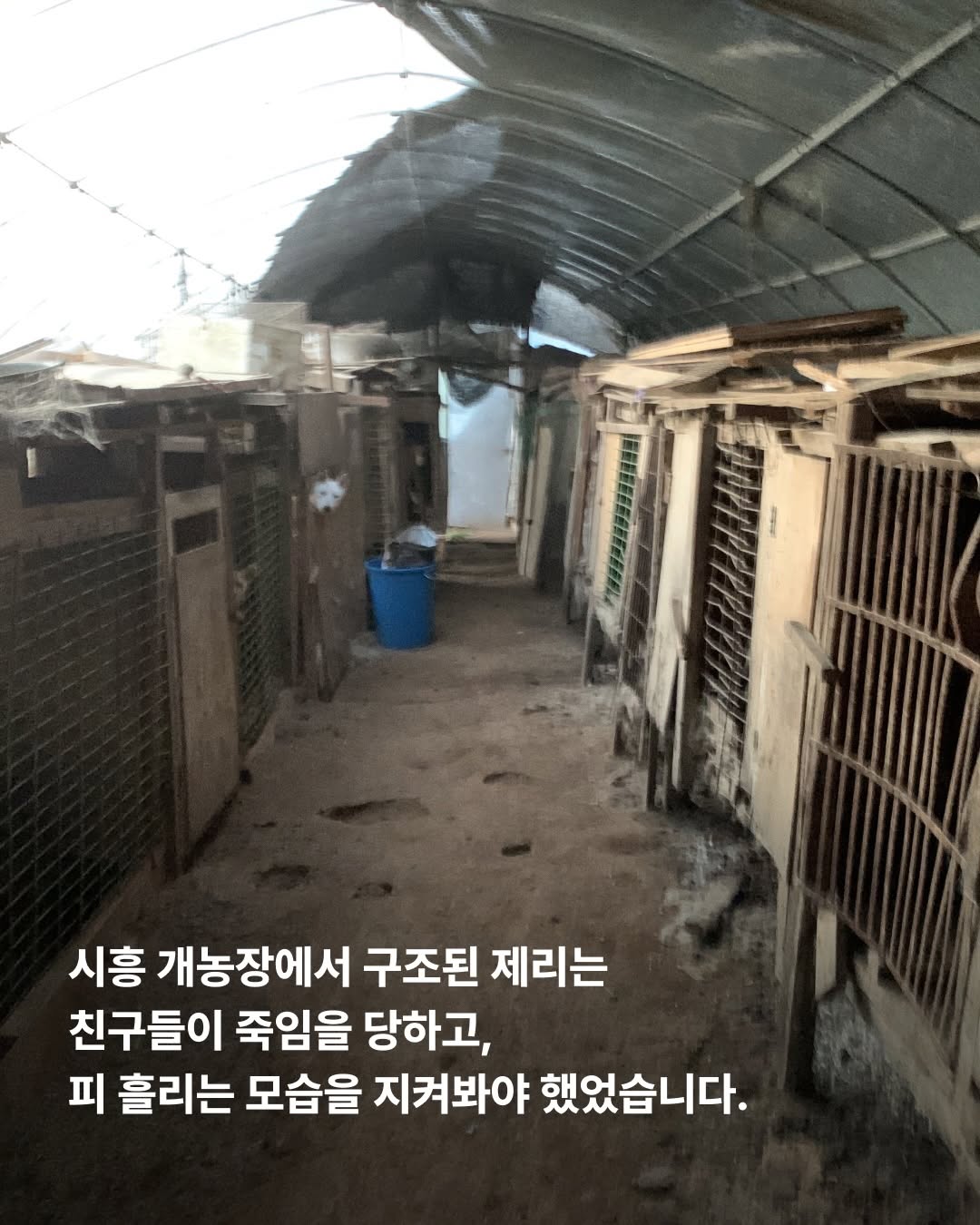 상세 사진 2