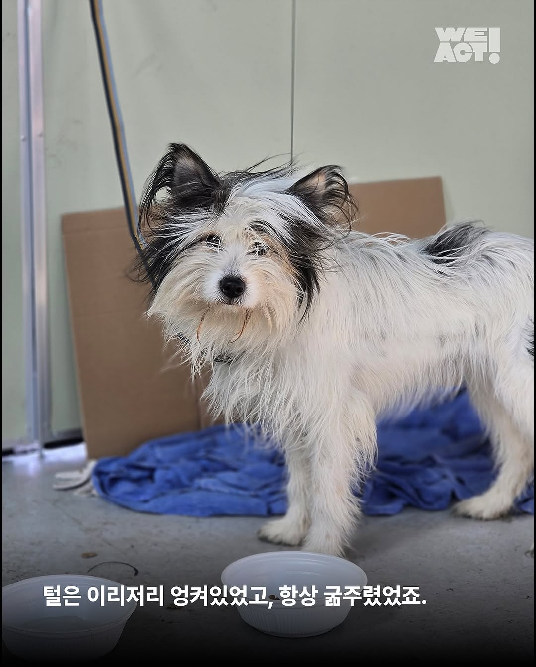 상세 사진 5