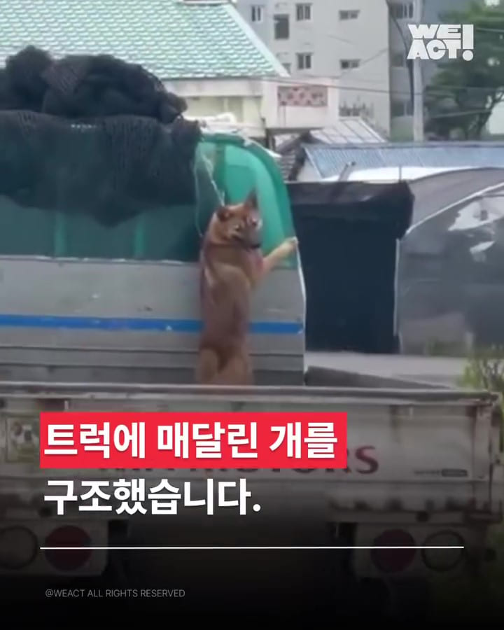 상세 사진 1