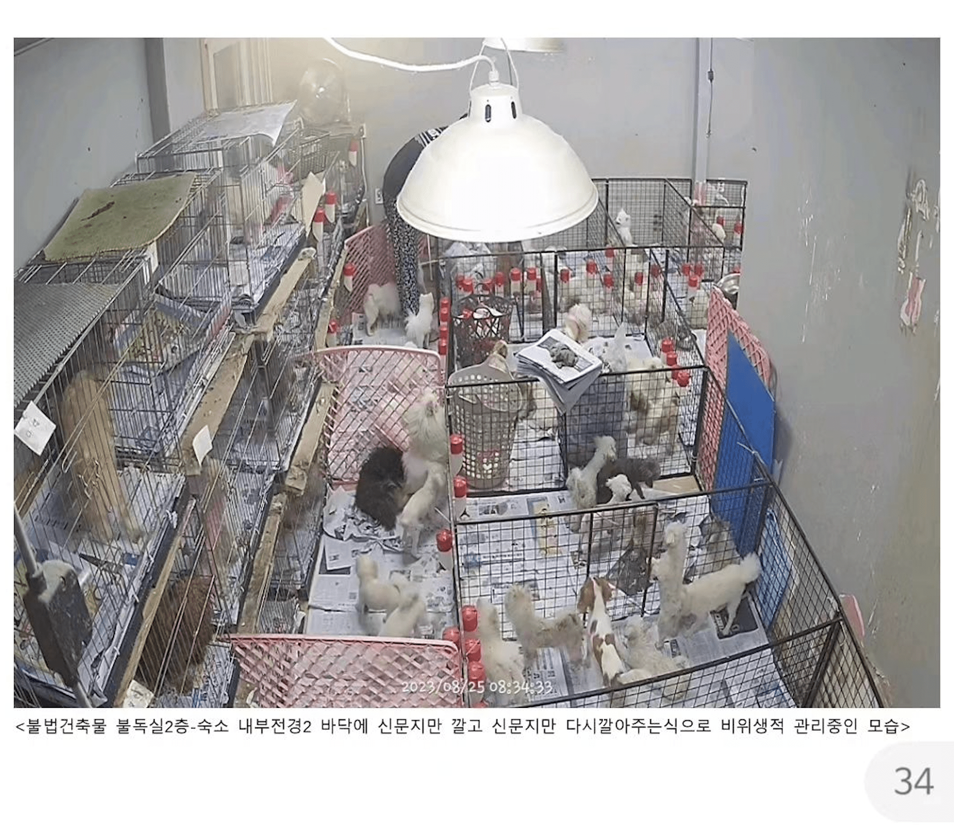 상세 사진 2