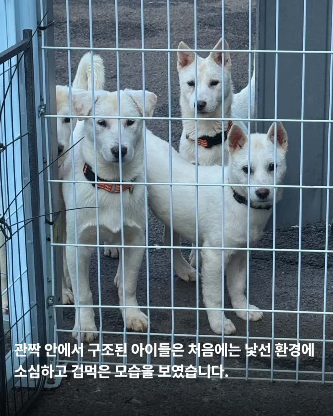 상세 사진 14